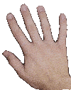Bloody hand