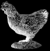Ester the peppered chicken