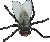 Buzzing flies